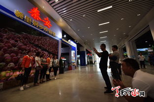 天天天水网全景展示中西部旅游商品展